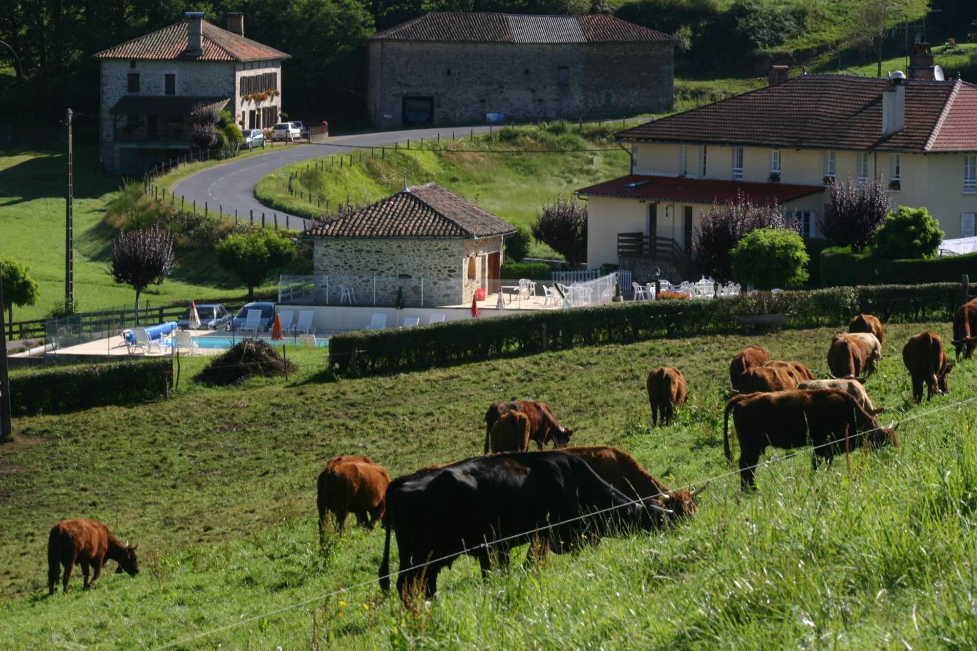 Le Ranfort Chambres D'Hotes Calviac Esterno foto